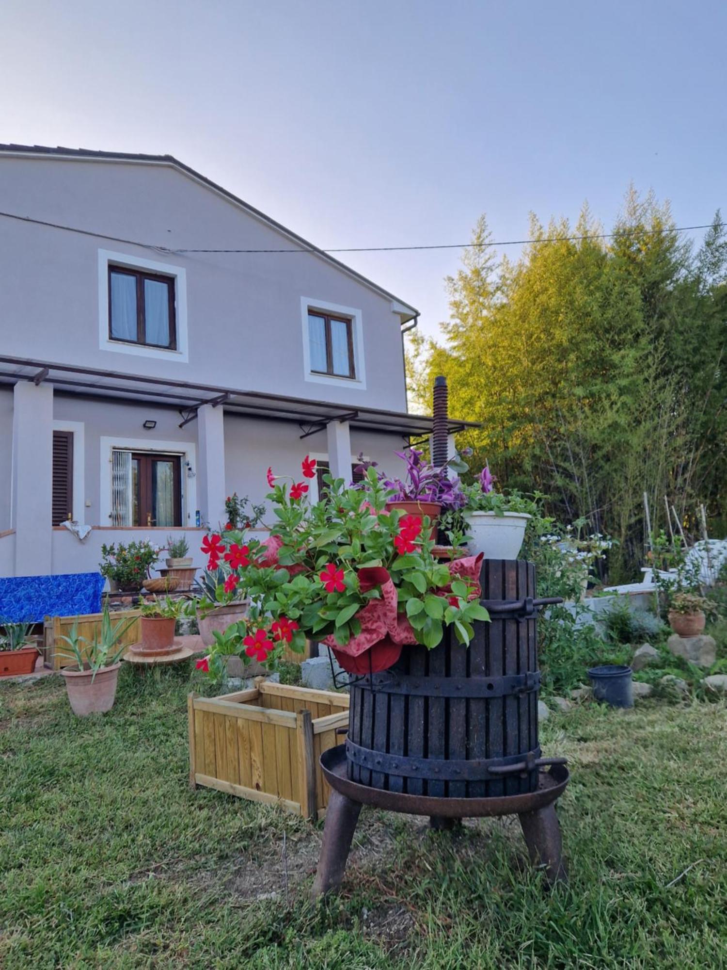 La Casa Nella Vigna Colline Del Vino Apartment Capannori Exterior photo