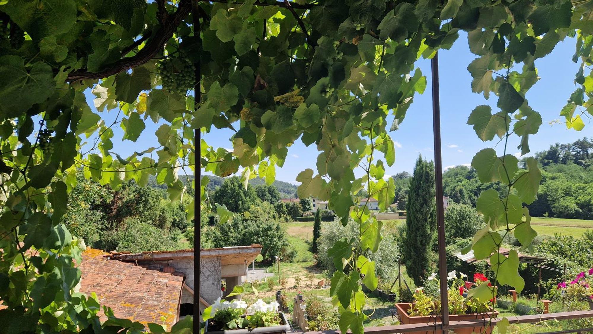 La Casa Nella Vigna Colline Del Vino Apartment Capannori Exterior photo